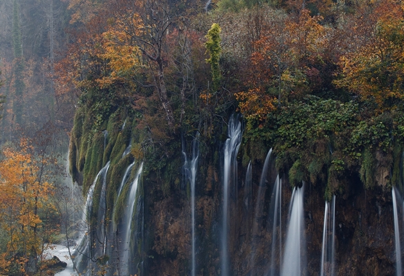 福建粉象生活代理