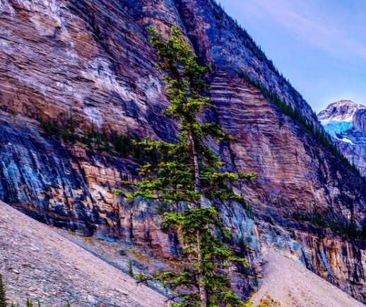 粉象生活象币是做什么的