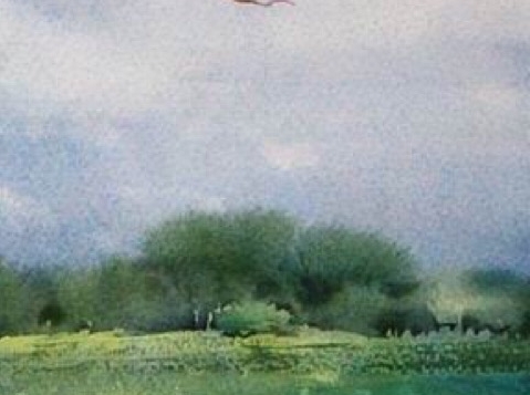 粉象生活付费升级