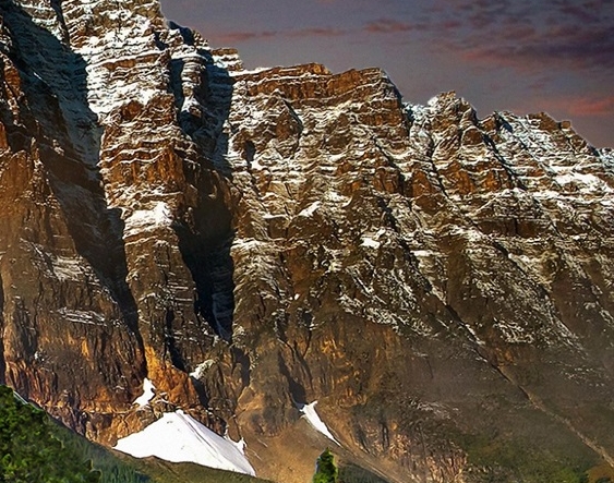 粉象生活是干什么的