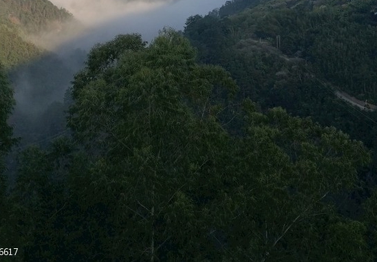 粉象生活邀请码
