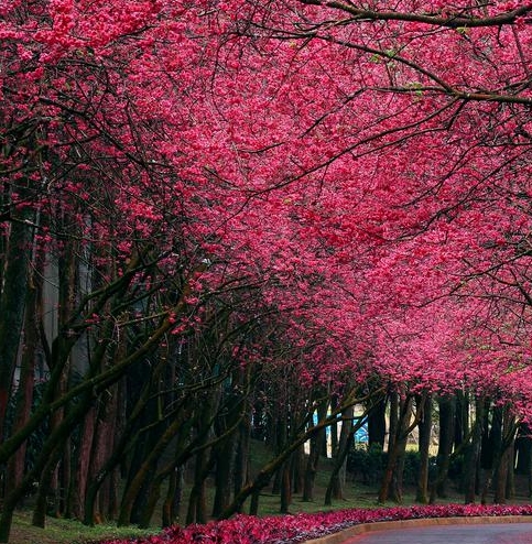 粉象生活官方邀请码哪一个是真的