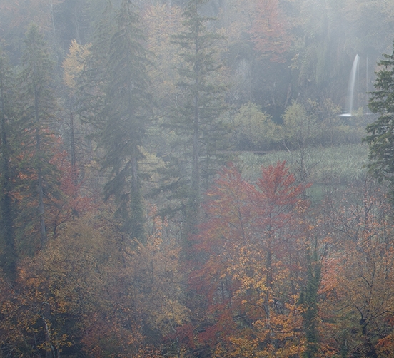 花生还是粉象到底做那个