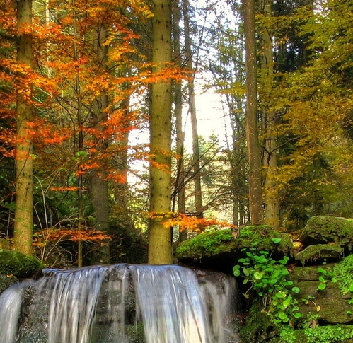 粉象生活淘宝商家入驻