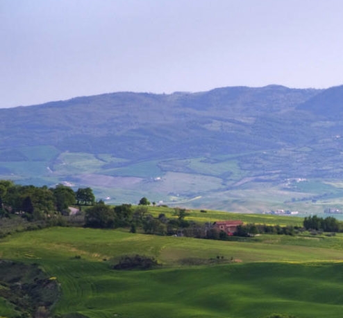 粉象生活怎么赚钱