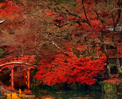 粉象生活vip收益