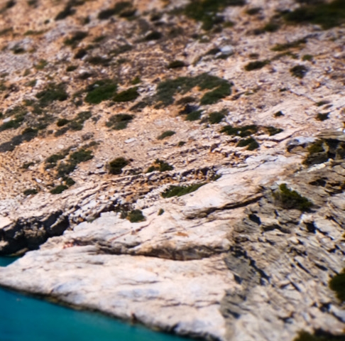 温州粉象生活vip