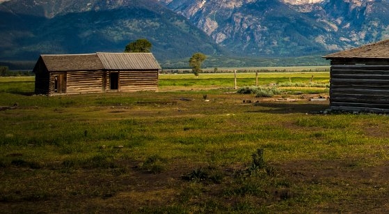 粉象生活怎么赚钱