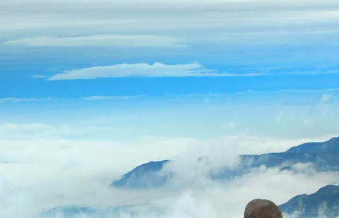 粉象生活可以看收入吗