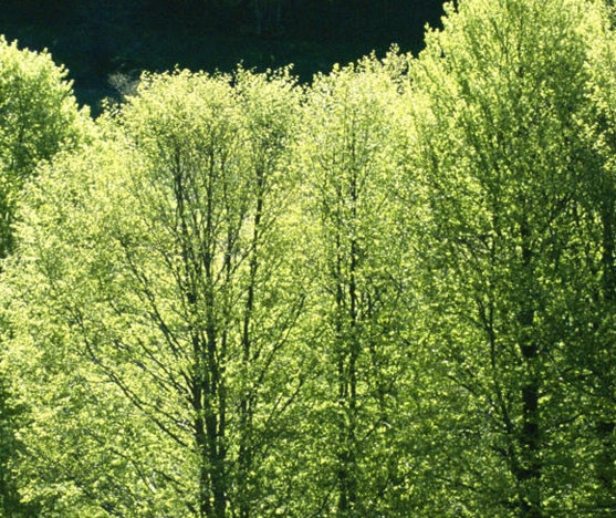 五象一站式生活购物中心