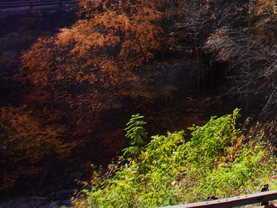 粉象生活里的打卡赚钱是真的吗