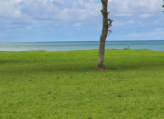 粉象生活早起打卡