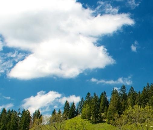 粉象生活要怎么申请