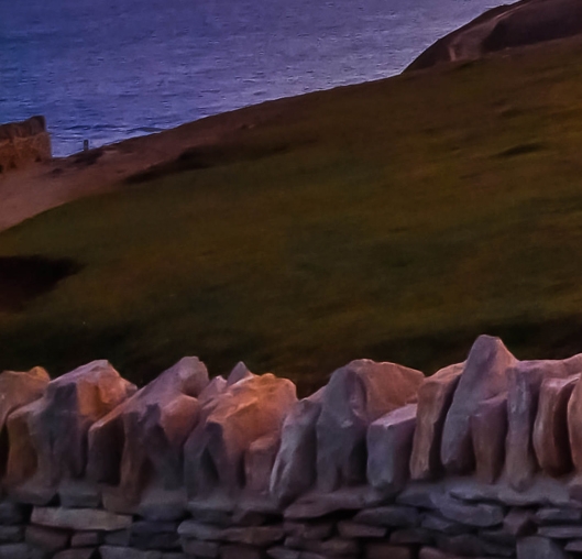 粉象生活在哪里看消费