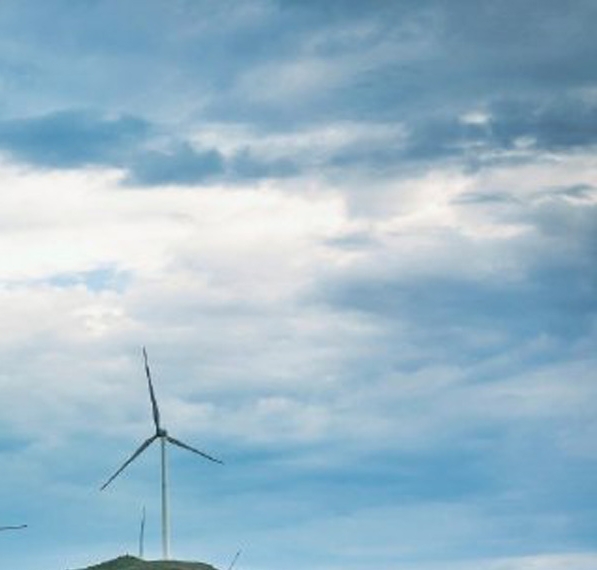 粉象生活邀请码填谁的最好