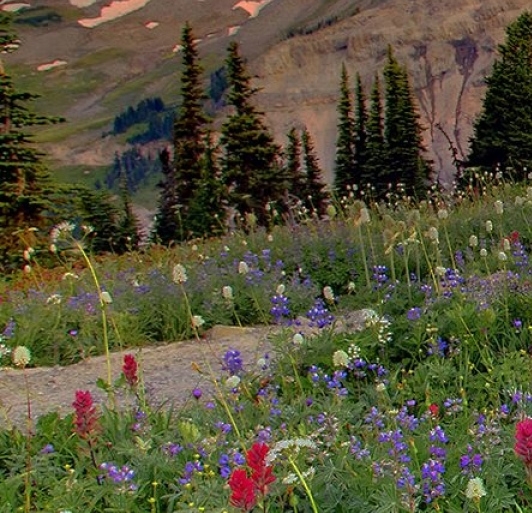 潍坊粉象生活代理