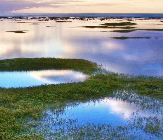 微信涨粉裂变平台