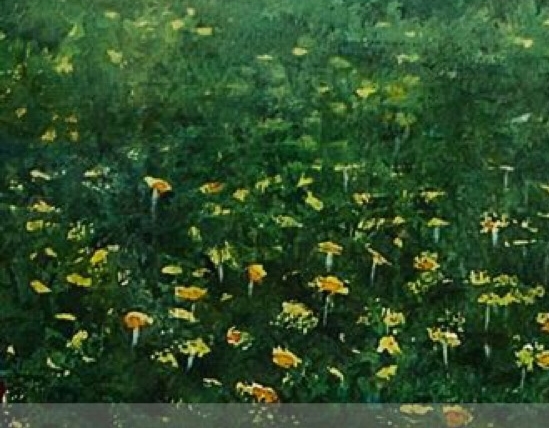 粉象生活正规合法吗