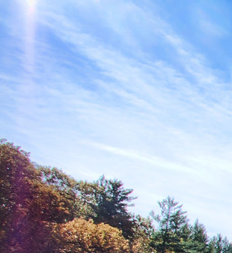 粉象生活怎么发布商品