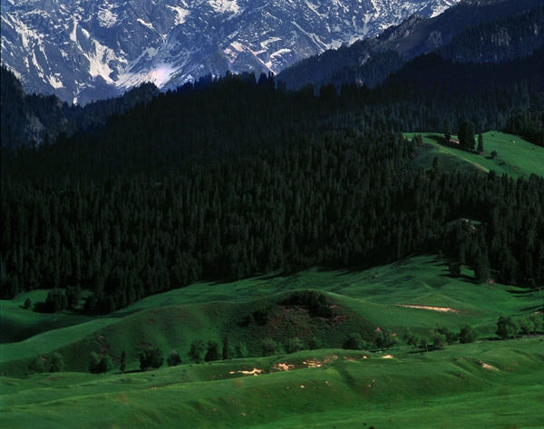 粉象生活推广文案