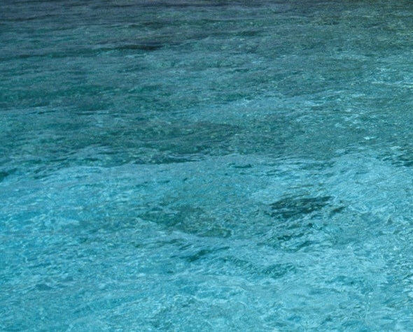 粉象生活怎么加入专栏