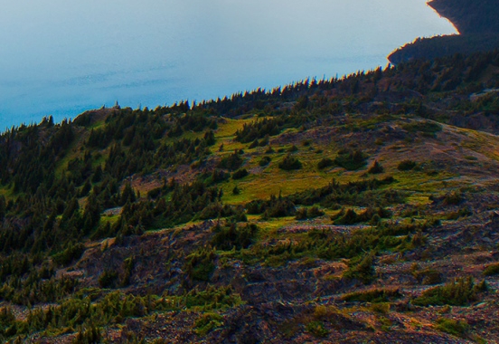 粉象生活真的可以省钱吗