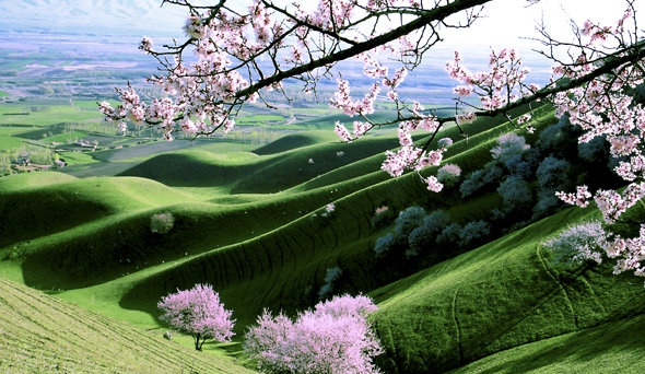 粉象生活省钱赚钱