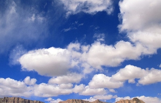 粉象生活骗局大揭秘