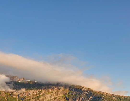 粉象生活闪闪哥