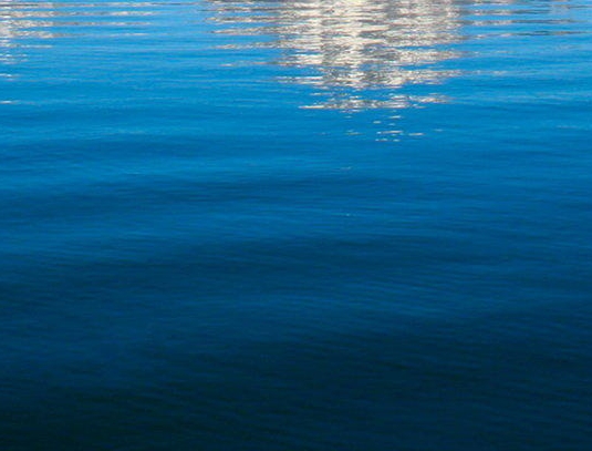 粉象生活一个粉丝多少收益