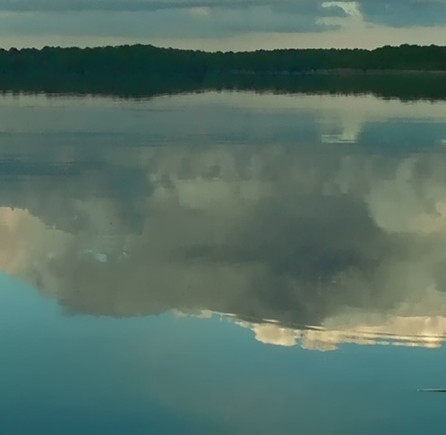 粉象生活如何获得优惠券