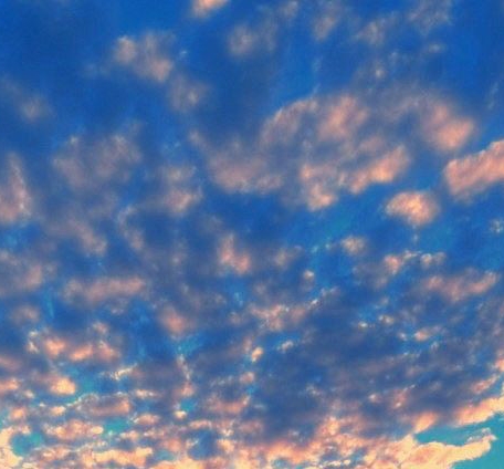 粉象生活手机版app粉象生活