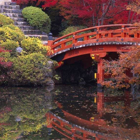 温州选择粉象生活线上推广