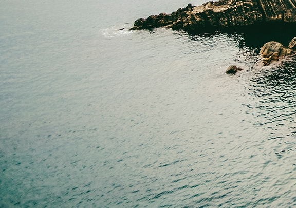 绍兴选择粉象生活可靠吗