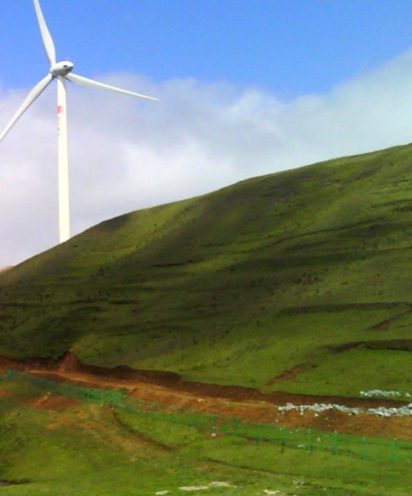 粉象生活需要加好友吗