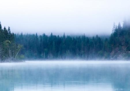 粉象生活到底能不能做