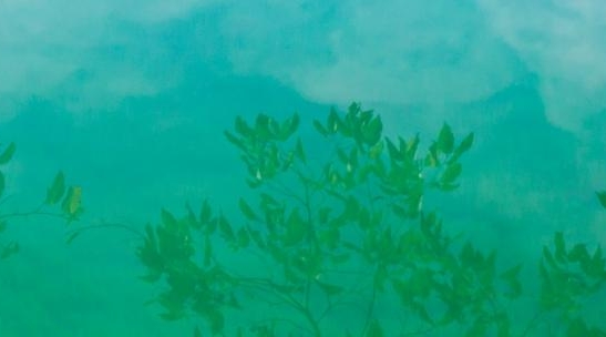 粉象生活哪个领域最赚钱