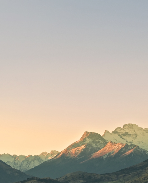 粉象生活是什么?