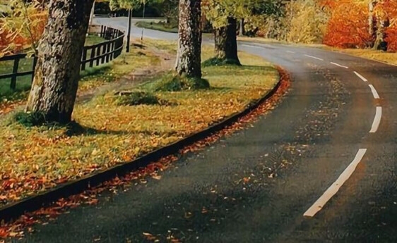 粉象生活怎么填别人的邀请码