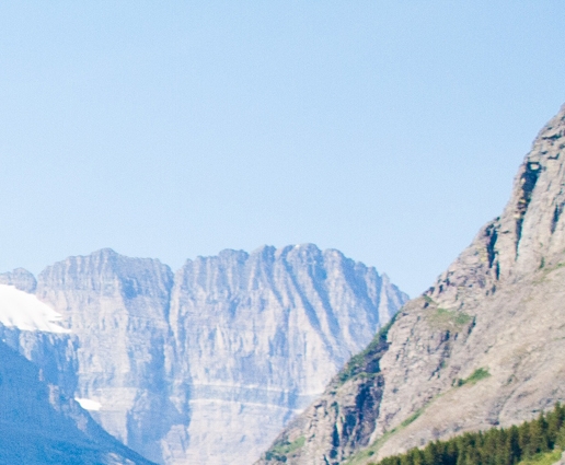 怎么看自己的粉象生活粉丝