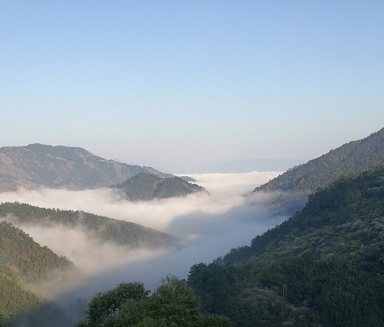 粉象生活微笑图片