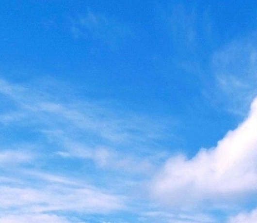 粉象生活是什么样的平台