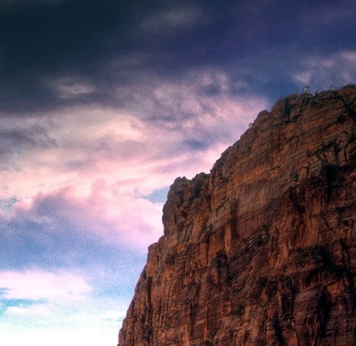 衢州粉象生活邀请码