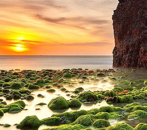 粉象生活怎么赚钱的