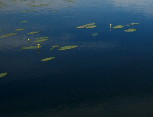 福建细粉氧化铝代理