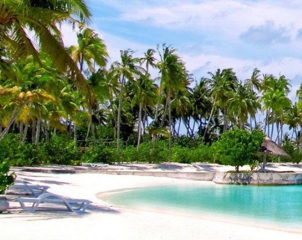 粉象生活邀请码