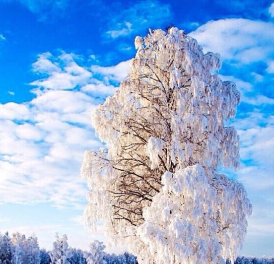 粉象生活升级会员后真的能赚钱吗