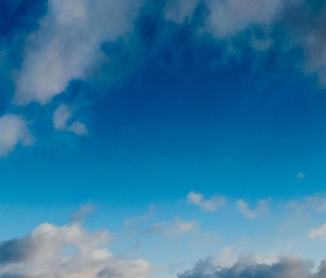 用粉象生活买东西、返现卖家能看到吗