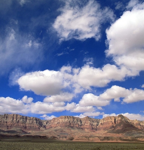 粉象生活新手怎么做