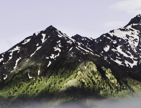 粉象生活怎么下载收藏